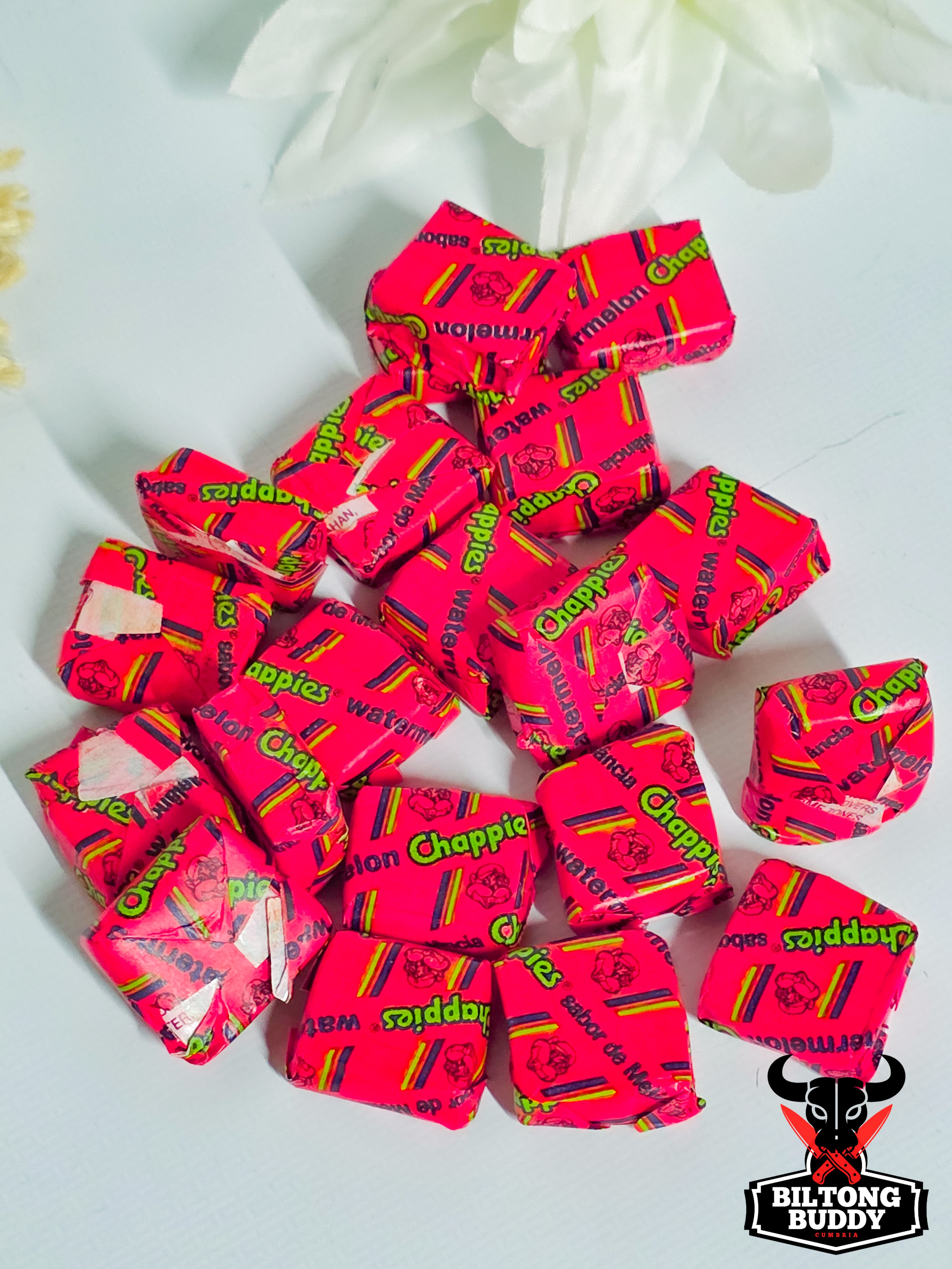 Chappies Bubblegum Watermelon 20 For £2