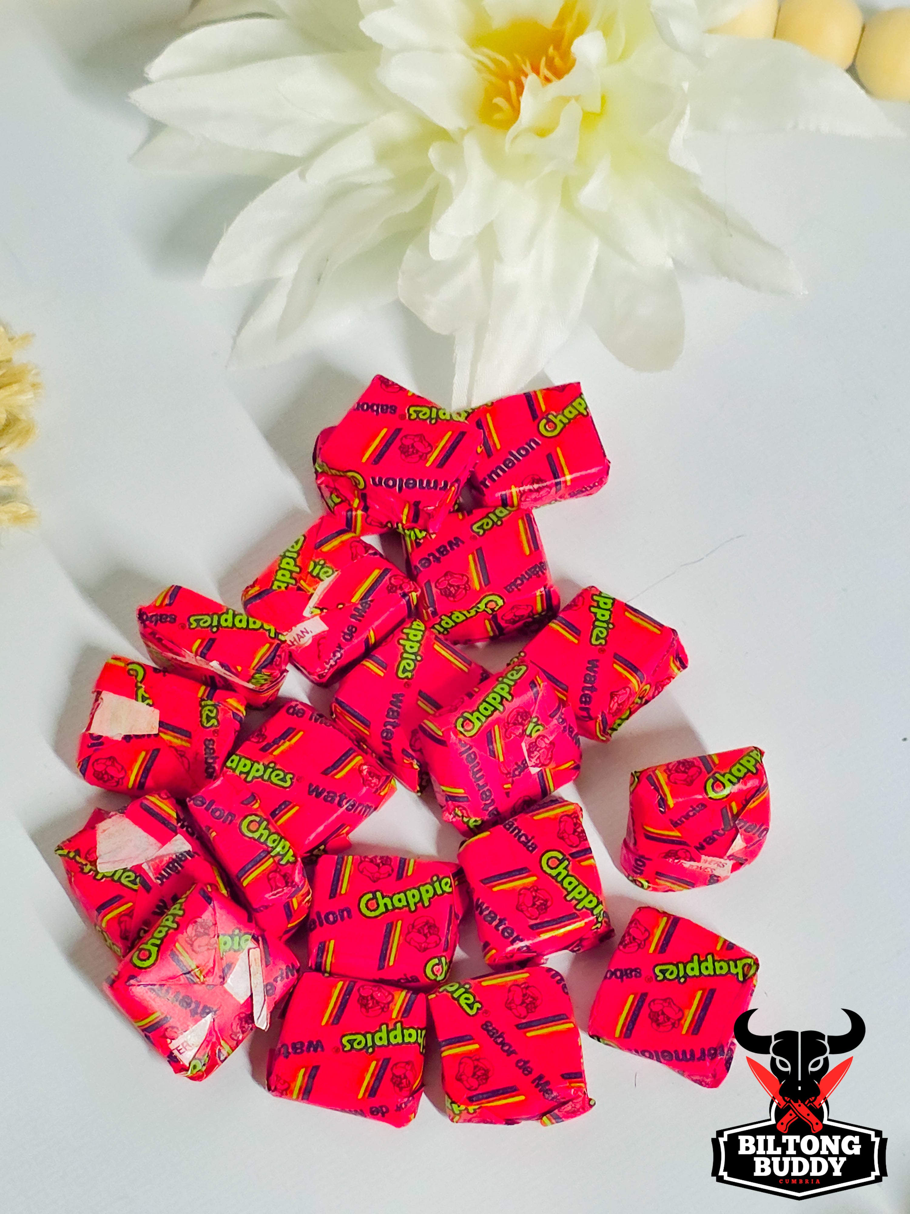 Chappies Bubblegum Watermelon 20 For £2