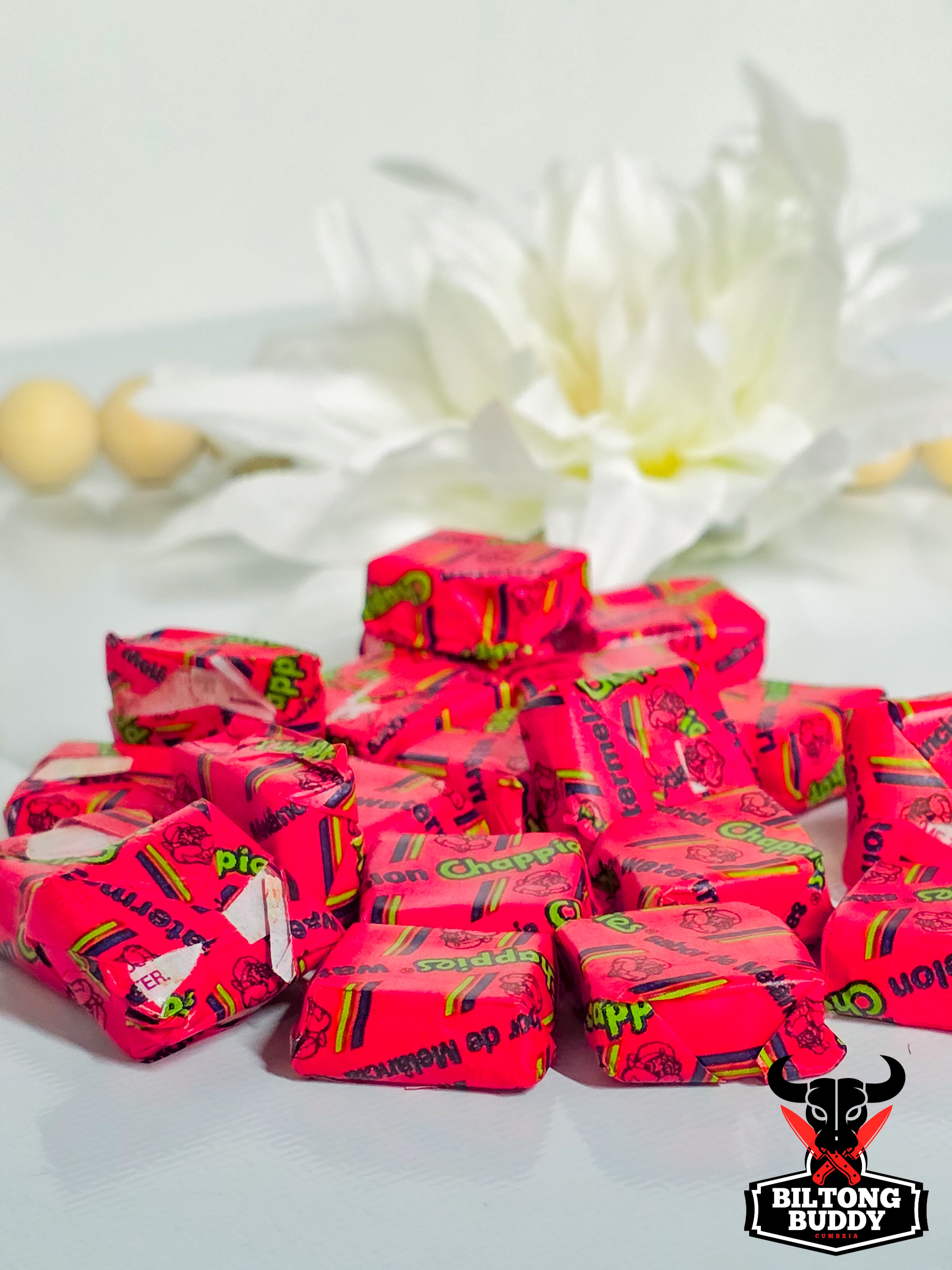 Chappies Bubblegum Watermelon 20 For £2